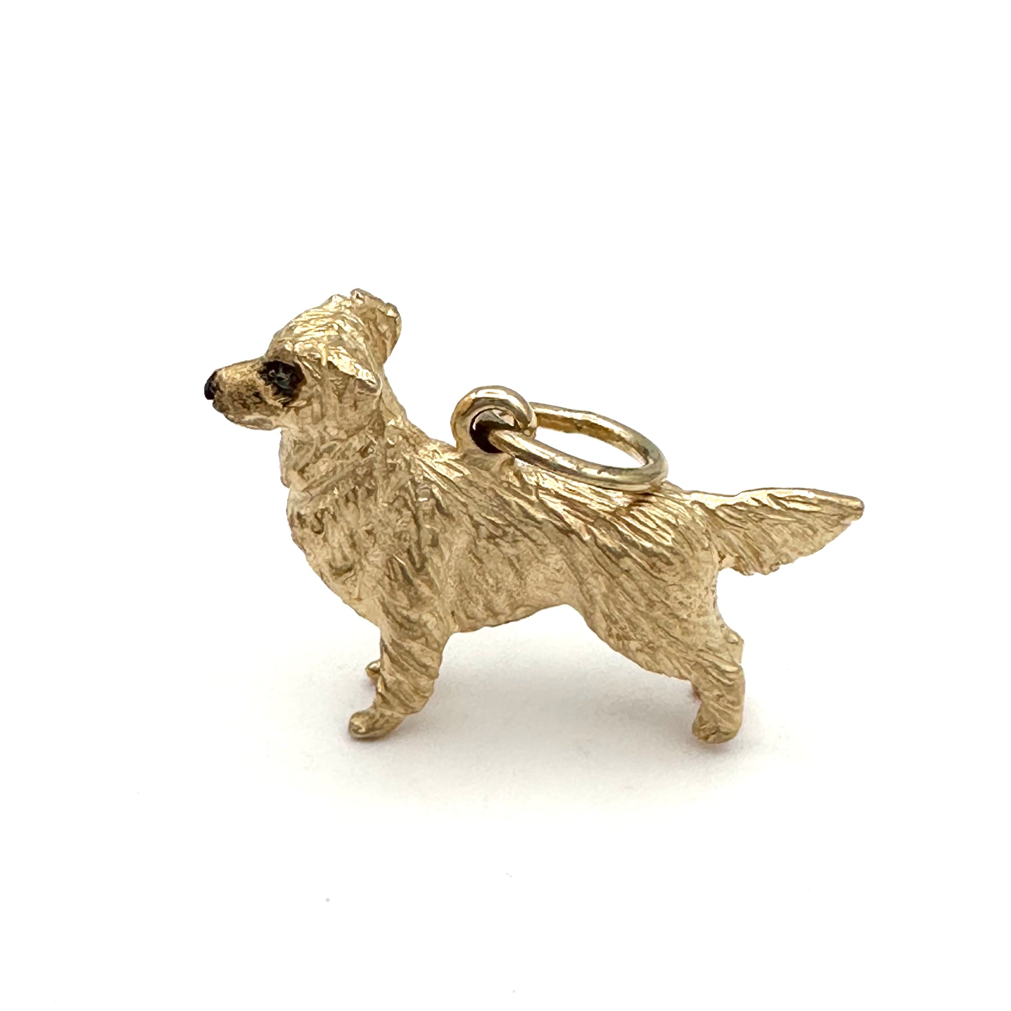 Stylysh Charms Golden Retriever Dog Photo Italian 9mm Link DG218 Fits Tradi